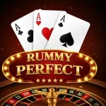 rummy perfect app logo